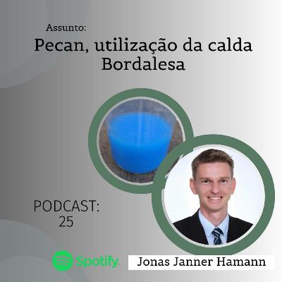 25 - Pecan, Utilização da Calda Bordalesa