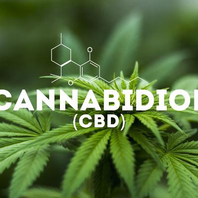 Cannabis Pharmacist, Nathalie Solomon: The ABCs of CBD