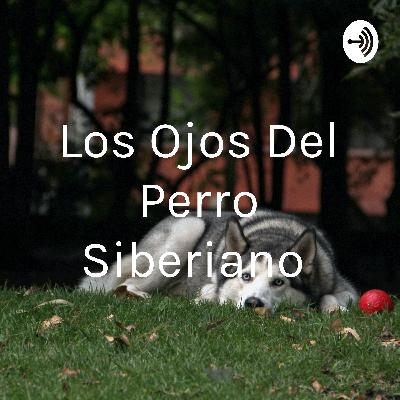 Podcast del libro los ojos del perro Siberiano