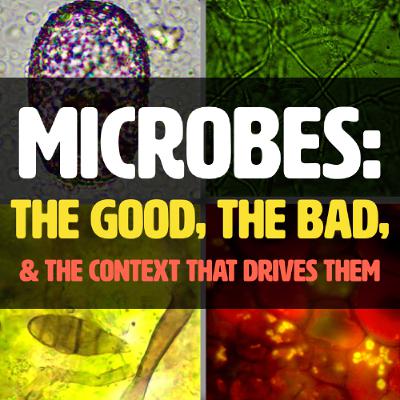 MICROBES: the Good the Bad and the Context that Drives Them