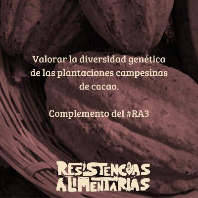 Plantaciones campesinas de cacao (complemento)