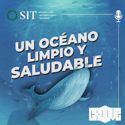 Un océano limpio y saludable