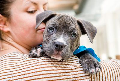 How to Say Goodbye When Your Foster Pet Gets Adopted