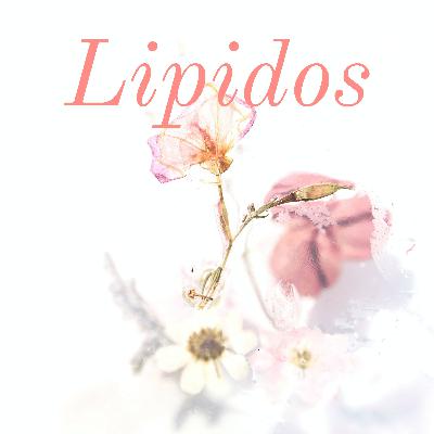 MUNDO DE LOS LIPIDOS