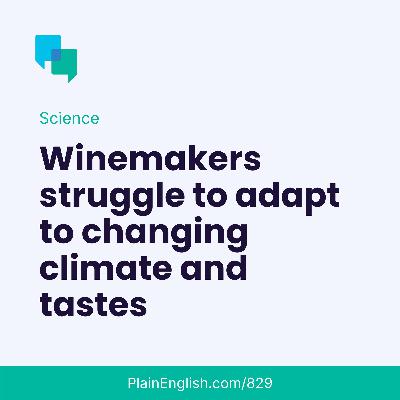 Winemakers are in trouble
