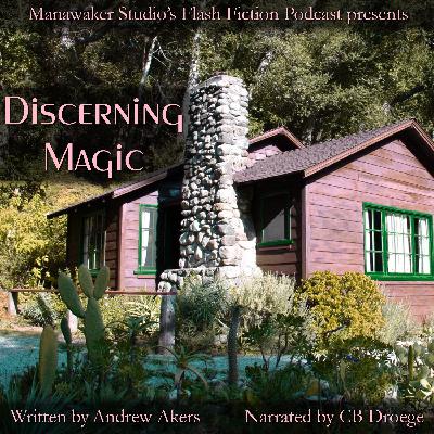 Discerning Magic – FFP 1039 Discerning Magic – FFP 1039