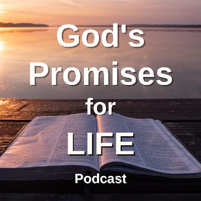 The Bible on The Grace of God