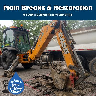 Main Breaks & Restoration