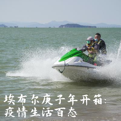 埃布尔庚子年开箱 埃布尔庚子年开箱
