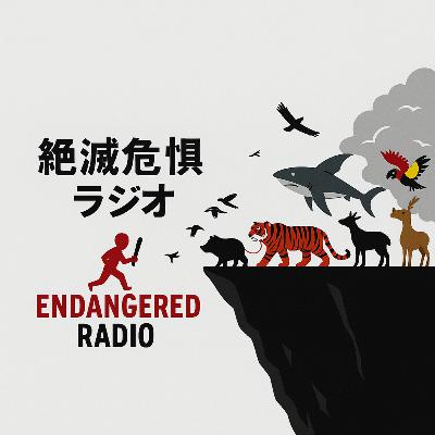 [2-14]事業の根幹が崩壊⁉ライチョウ移植事業編総括[ライチョウ移植事業編]#18