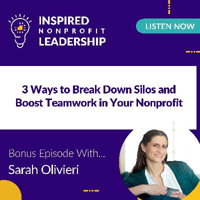 347: 3 Ways to Break Down Silos and Boost Teamwork in Your Nonprofit with Sarah Olivieri