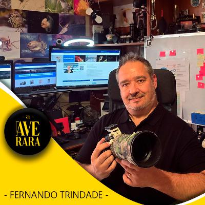 204 - Reinventei-me aos 55 (sem dramas nem gurus motivacionais) - com Fernando Trindade