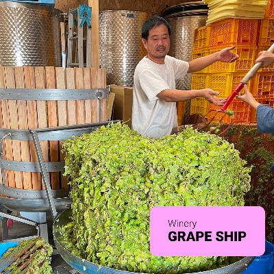 #14 【ワイン回】自分に嘘をつかない、無理をしない：松井一智さん（GRAPE SHIP）