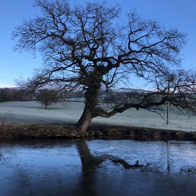 Number 4 Grief is like a private group Number 4 Grief is like a private group