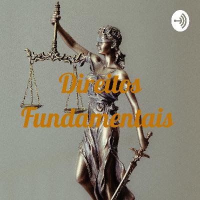 Direitos Fundamentais