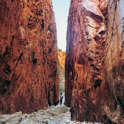 ep.450 野生カンガルーがどこにもいない！鳥のさえずり響く峡谷を独り占め