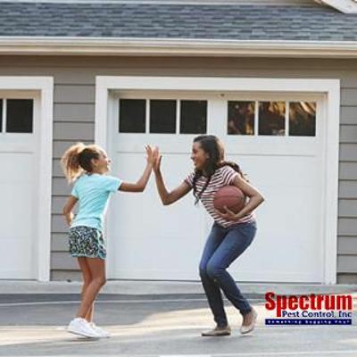 Bed Bug Treatment In Gibsonia PA