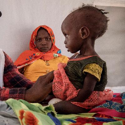 Kampf gegen Hunger: G20 haben "Chance verpasst" Kampf gegen Hunger: G20 haben "Chance verpasst"