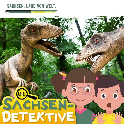 Folge 4: Die Botschaft im Stern (Oberlausitz)