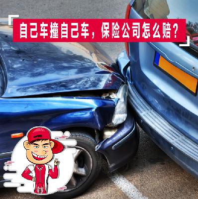 自己车撞自己车，保险公司怎么赔？