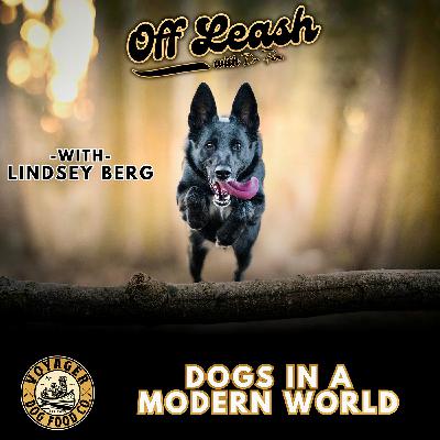 Lindsey Berg; Dogs In a Modern World