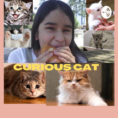 Curious cat, episodio 20, final.