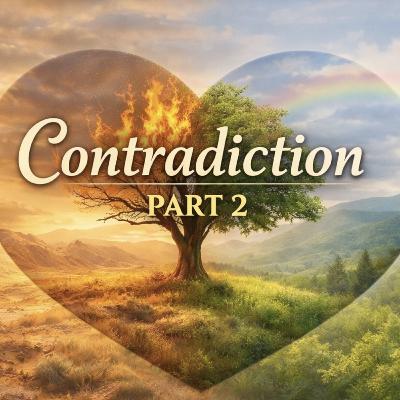 S2E9: Contradiction pt. 2