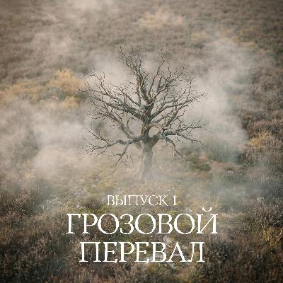 №1. «Грозовой перевал»