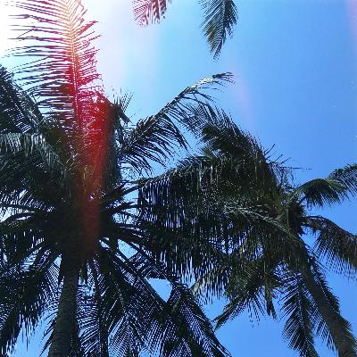 Tanya Jawab Pernikahan bersama Bapak Kepala KUA Kandangan