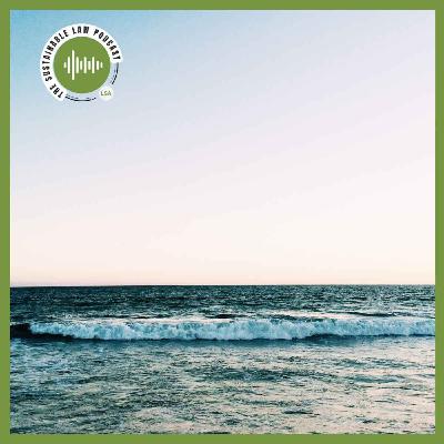 The Elephants on the Horizon The Elephants on the Horizon