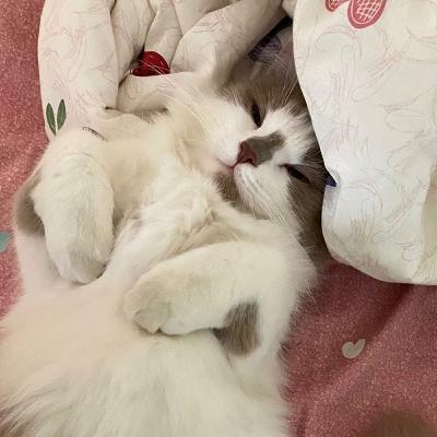 HUBUNGAN TANPA STATUS?!! SEHAT????