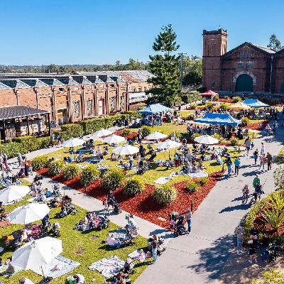 Calls to declare climate emergency, Christmas comes to Brassall carols, iGO updated, no joy for dismissed councillors