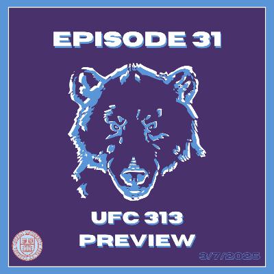 Episode 31: UFC 313 Preview