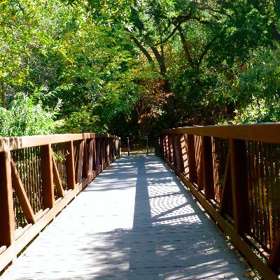 5. Hur hanterar man konflikter?