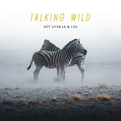 Talking Wild - Die Einführung