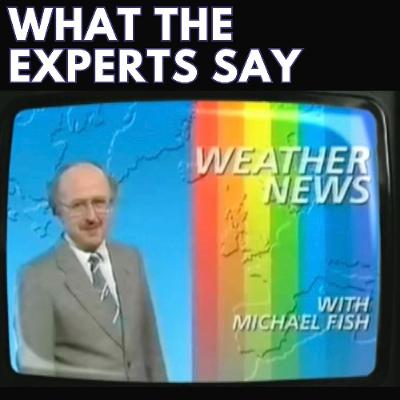 WHAT THE EXPERTS SAY WHAT THE EXPERTS SAY