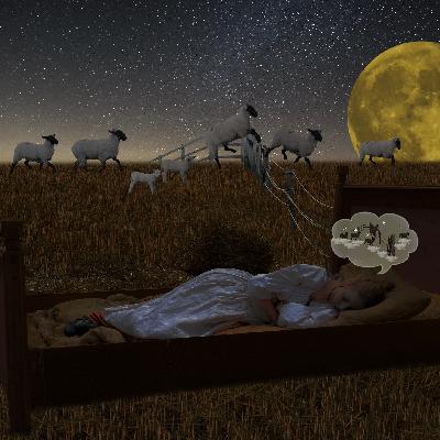How Can I Improve the Quality of My Sleep and Get My Energy and Joy of Living Back?