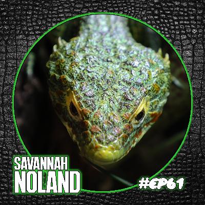 ReptiChat #Ep 61 - Keeping real life dragons! Abronia with Savannah Noland