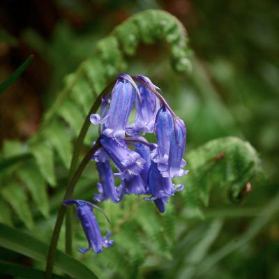 Milesha Appavoo - A friend is a gift