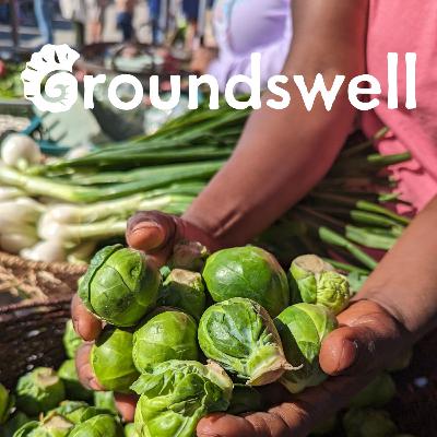 Galveston's Movement for Food Access and Connection