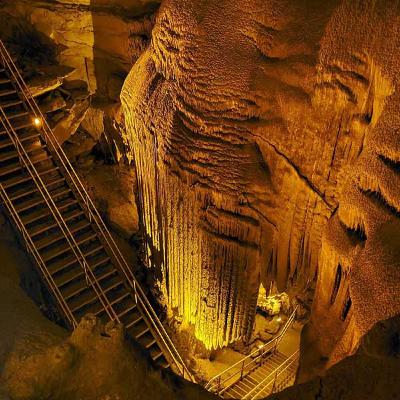 Our National Park Odyssey: Congaree, Cumberland Gap, and Mammoth Cave