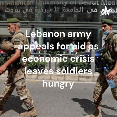 Lebanon army appeals for aid as economic crisis leaves soldiers hungry Lebanon army appeals for aid as economic crisis leaves soldiers hungry