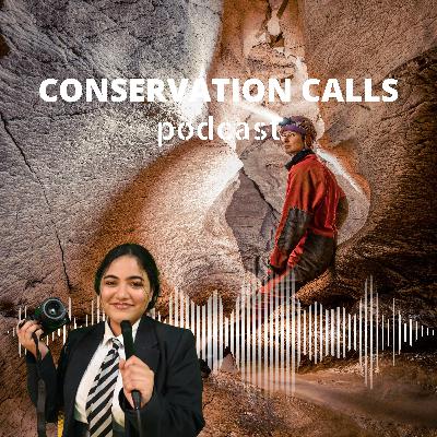 Echoes in the dark: Cave biodiversity battles