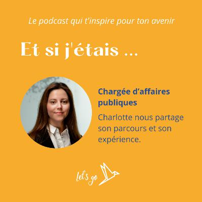 Et si j'étais chargée d'affaires publiques