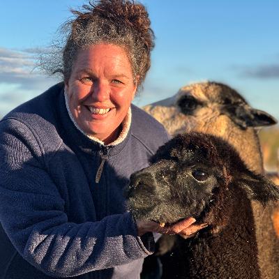 Ep 72: Amee Dennis_Quentin Park Alpacas_Part A Ep 72: Amee Dennis_Quentin Park Alpacas_Part A