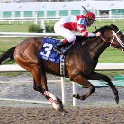 Buffalo Man, Premium Tap recaps - Preview of Southwest Stakes with Hard Spun