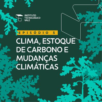 Clima, estoque de carbono e mudanças climáticas