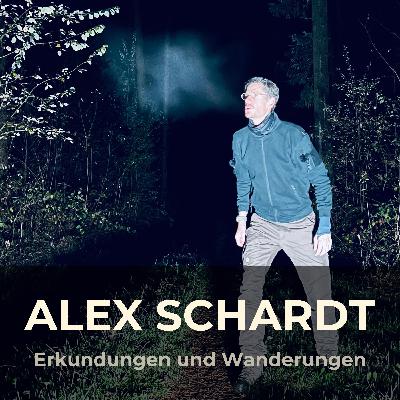 49: Nachts im Wald auf Entdeckertour - Bunker aufgespürt