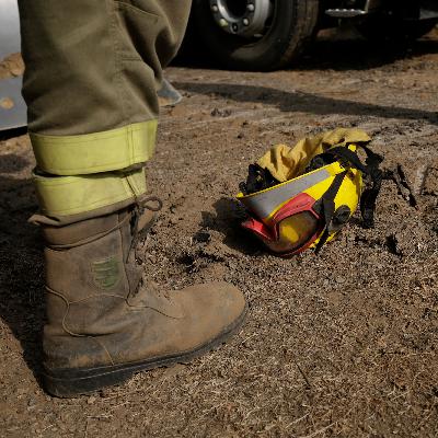 Día Mundial de la Prevención de Incendios Forestales: "Apagar una sola hectárea de incendio cuesta unos 19.000 euros"