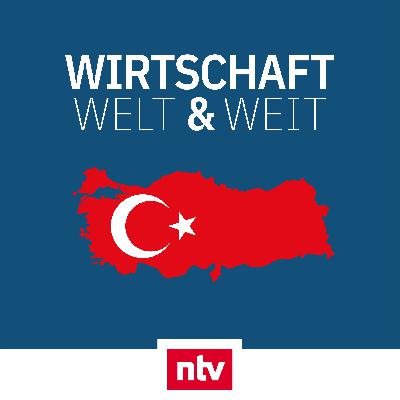 Die Macht der Türkei: "Erdogan hat uns ein Stück weit in der Hand"